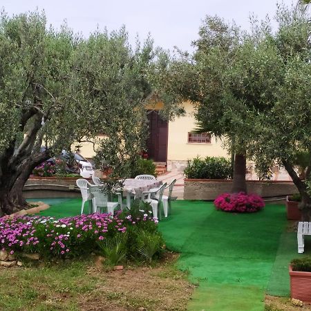 Bed and Breakfast Casanonnavittoria Terrasini Exterior foto